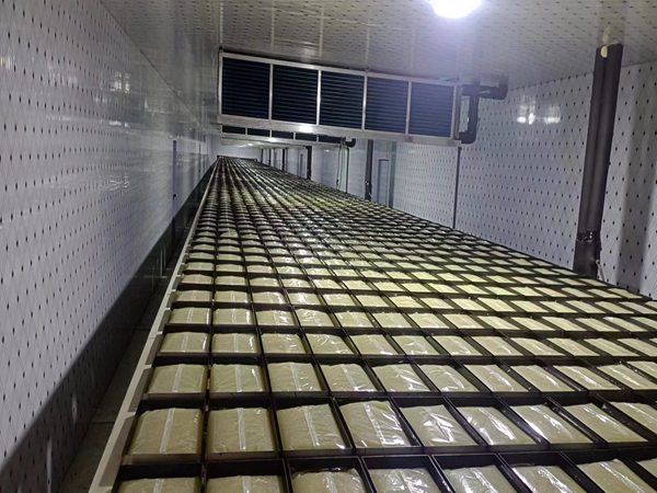 胶体码垛机器人生产线的特点 胶体码垛机器人图片展示